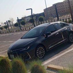 كورولا