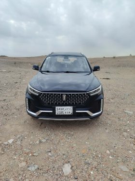 حراج للبيع فاو T33