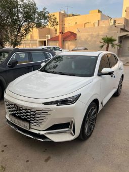شانجان