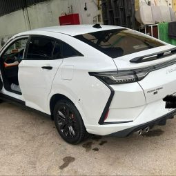 
										حراج الرياض دونج فينج شاين E1 full									