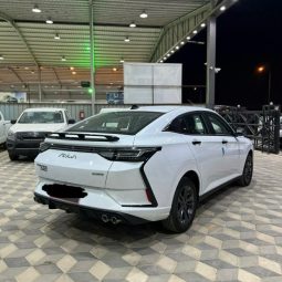
										حراج الرياض دونج فينج شاين E1 full									