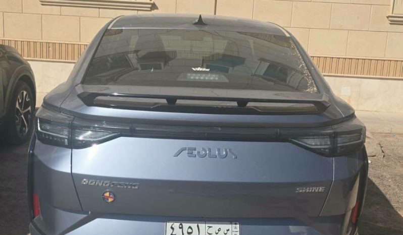 
								حراج الرياض دونج فينج شاين E1 full									