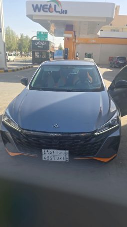 دونج فينج