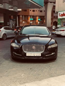 Jaguar